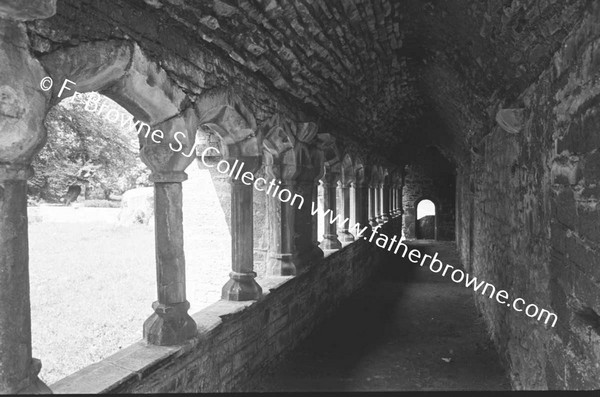 ARDFERT FRIARY SCENES CLOISTERS